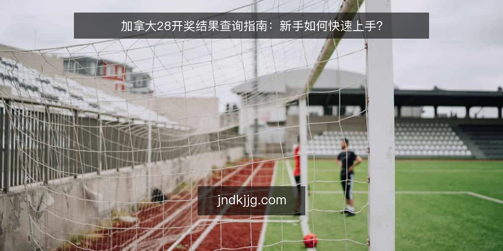 加拿大28开奖结果查询指南:新手如何快速上手? — 什么是加拿大28开奖结果? 配图