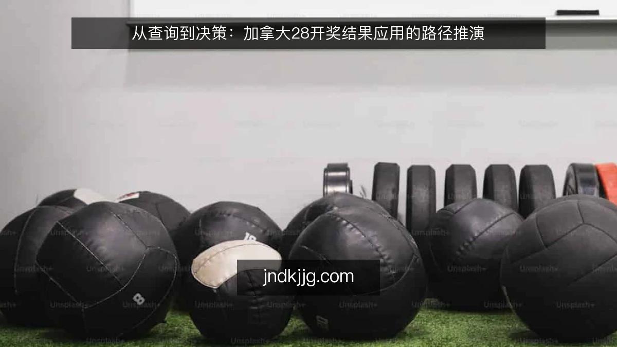 从查询到决策：加拿大28开奖结果应用的路径推演