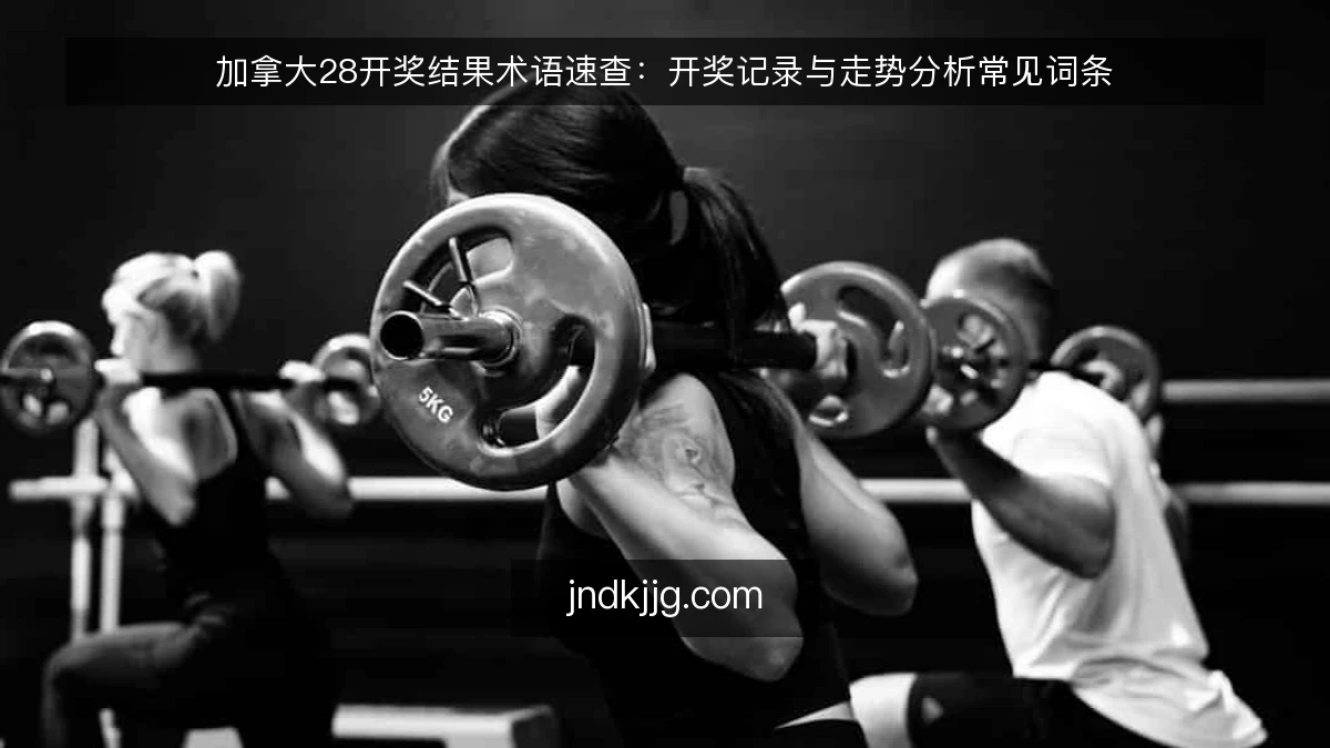 加拿大28开奖结果术语速查：开奖记录与走势分析常见词条