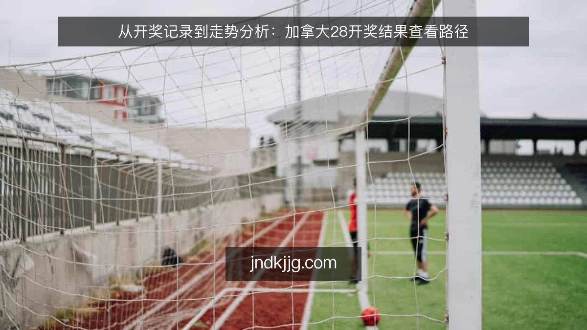 从开奖记录到走势分析：加拿大28开奖结果查看路径