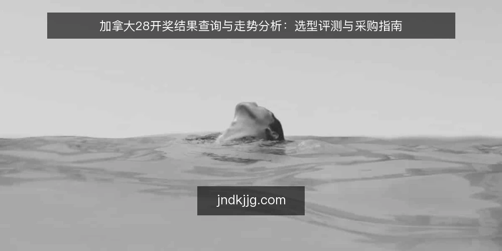 加拿大28开奖结果查询与走势分析：选型评测与采购指南 — 明确查询与走势分析的需求边界 配图